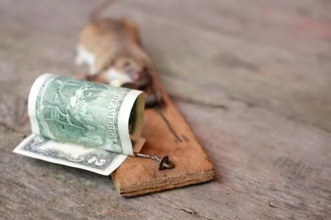 Dollar And Mouse Trapped Foto stock