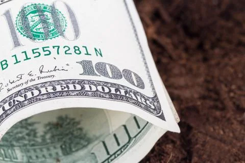 Dollar banknote on soil Stock-Fotos