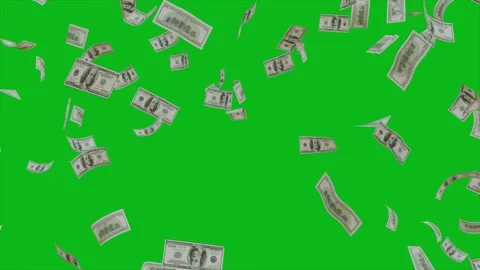 Dollar Banknotes flying animation. Video stock 311408624