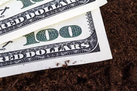 Dollar banknotes on soil Stock Photos