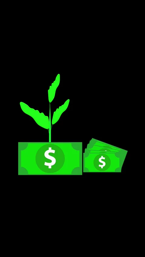 Dollar bill and tree icon animation showing investment and growth vertical .. Stock Footage 315637527
