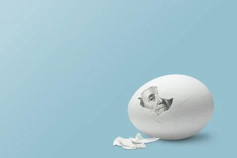 Dollar bill in egg Stock Photos