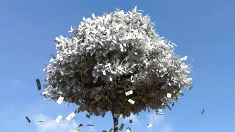 Dollar bill falling from the tree Stock Footage 249733058