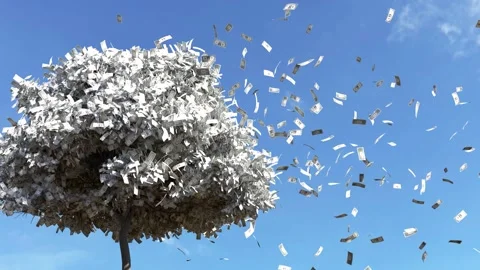 Dollar bill falling from the tree Stock Footage 249733070