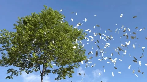 Dollar bill falling from the tree Stock Footage 249733097