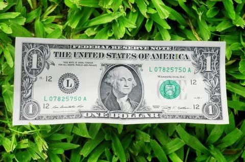 Dollar Bill Stock Photos