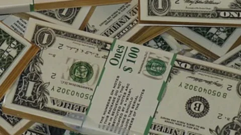 Dollar Bills Background Animation 01 Stock Footage 313155297