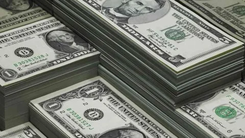 Dollar Bills Background Animation Stock Footage 313155324
