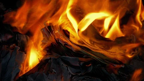 Dollar Bills Put On Fire And Burns Stock Footage 102520047