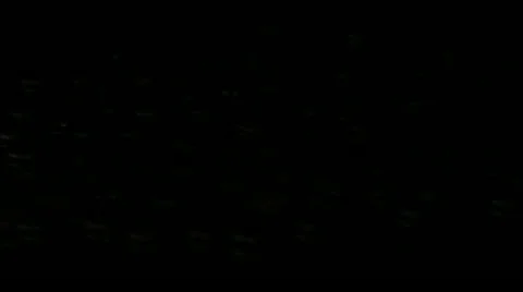 Dollar Coins Treasury Stock Footage 11296903