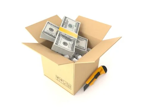Dollar currency inside package Illustrazione stock