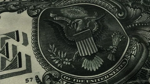 Dollar Flag with Coat of Arms Loop Stock Footage 241233794