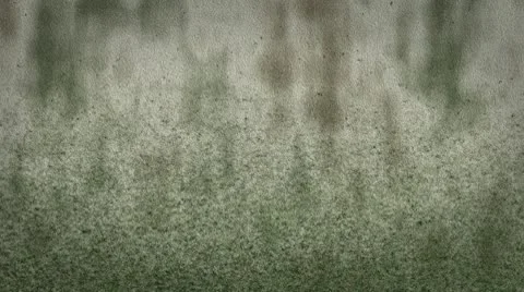 Dollar Stock Footage 10480796