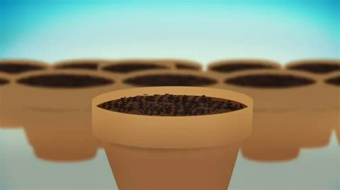 Dollar Plants Stock-Footage 12259767