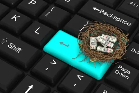 Dollar protected in nest with enter key Stock Illustration
