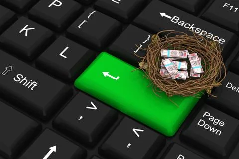 Dollar protected in nest with enter key Stock Illustration