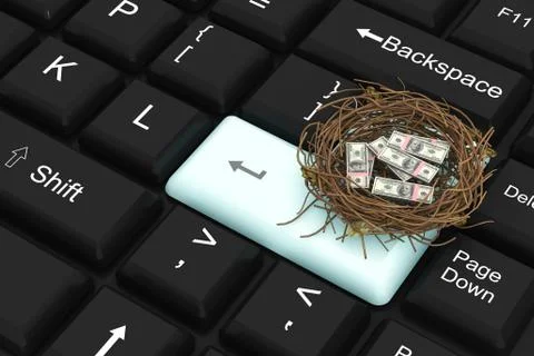 Dollar protected in nest with enter key Stock Illustration