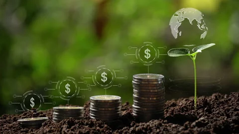 Dollar sign on small tree and coins stack business growth concept. Stock Footage 172394151