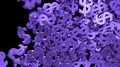 Dollar signs symbols fill screen transition money bank business finance tax 4k 4k or 4k+ Resolution