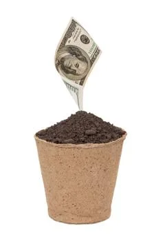 Dollar sprout Stock Photos