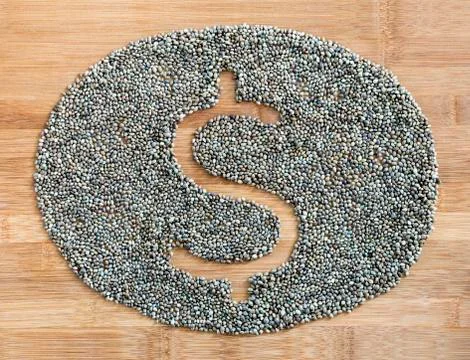 Dollar symbol made of hemp seeds Stock Photos