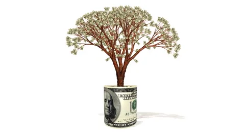 Dollar tree growing inside USD banknote Stock Footage