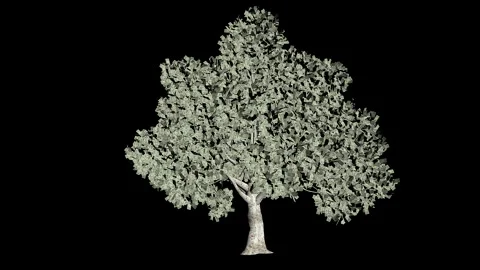 Dollar US tree seemless loop, black background Stock Footage 165204691