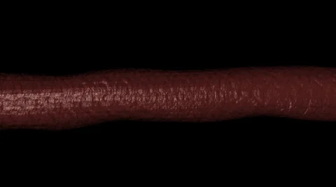 Dollar7 Stock Footage 34145453