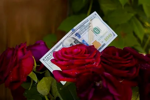 Dollars And Roses Photos