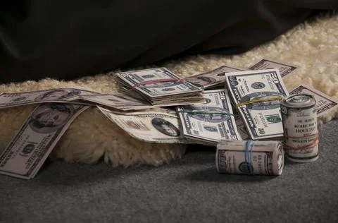 Dollars on fur Stock Photos