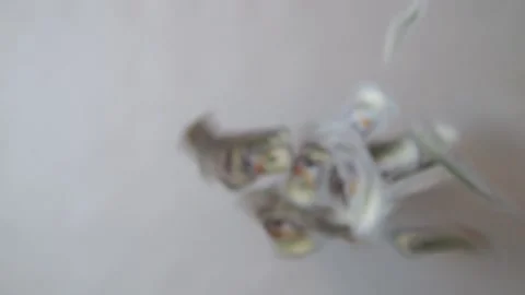 Dollars in hands Stock Footage 134168070