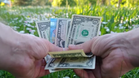 Dollars in hands Stock Footage 334957216
