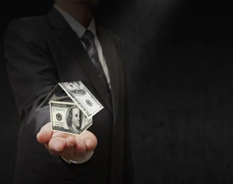 Dollars house 스톡 일러스트