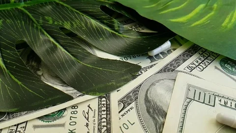 Dollars pills hand slow-motion shot Stock Footage 90040914