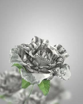 Dollarsrose Stock Illustration