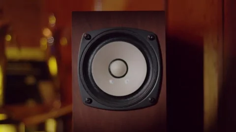 Dolley In To Speaker Stock Footage 248167899