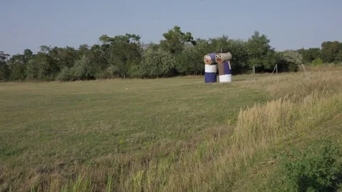 Dolls in the field 動画素材 81142613