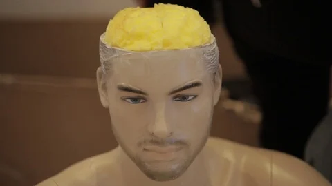 The doll's head which is inside the sponge Stock Footage 86818988