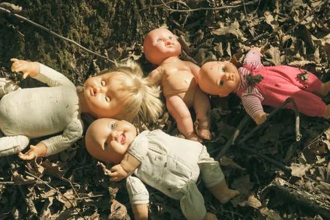 Dolls thrown in the forest. Stock Photos