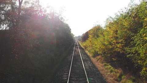 Dolly in along rails between trees at daytime with lens flares Stock Footage 138824764