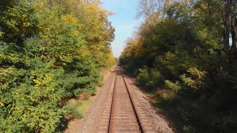 Dolly in along rails between trees at daytime Stock Footage 138827063