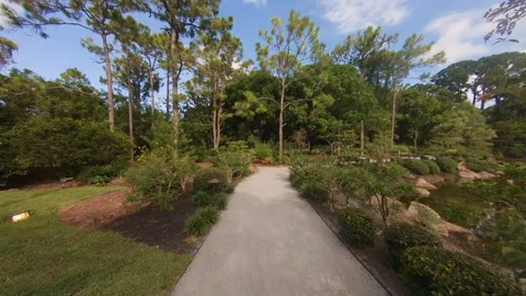 Dolly Along Trail Through Morikami Japanese Garden Stock Footage 200890499