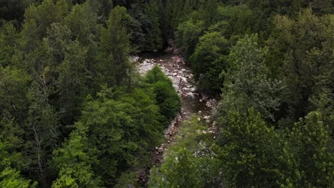 Dolly in and tilt down over Lynn Canyon Creek in Vancouver, Canada Stock Footage 143438196