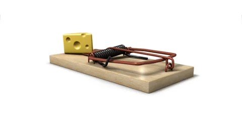 Dolly back diagonally from single Mouse Trap revealing many Traps Stock Footage 32628679