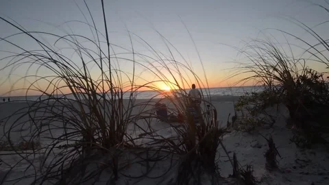 Dolly on beach sunset Stock Footage 97134196