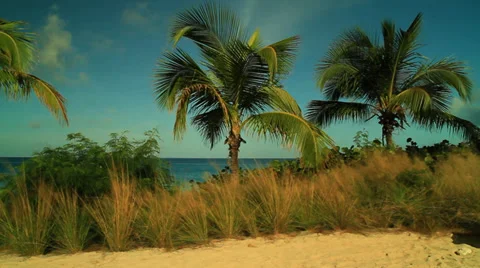 Dolly on Beach - Umbrella on the Beach Stock Footage 34820147