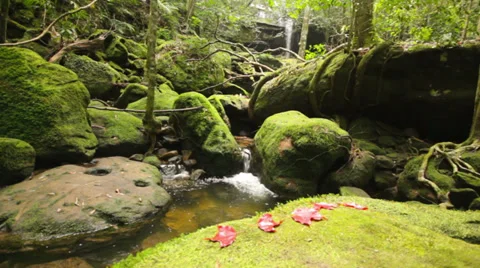 Dolly: Beautiful waterfall in rain forest, Thailand., HD 1080P Stock Footage 34863788