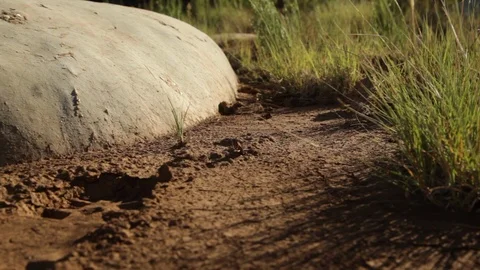 Dolly of big boot print in dirt Vidéo 104876947