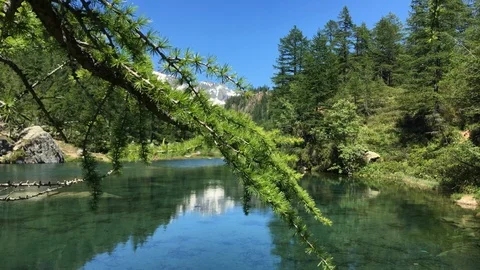 Dolly camera movement on mountain lake thru a tree Stock Footage 112216295