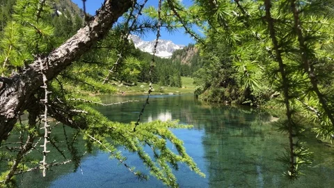 Dolly camera movement thru mountain lake tree Video stock 112216319